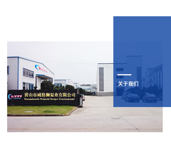 黃山市威格獅泵業(yè)有限公司 黃山市威格獅泵業(yè)有限公司